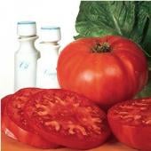 Burpee Supersteak Tomato Seeds TM26-10_Base