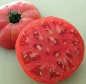 Brandywine Sudduth's Strain Tomato Seeds TM225-10_Base