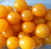 Cerise Orange Tomato Seeds TM735-10_Base