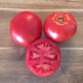 Galahad Tomato TM936-10