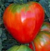 German Red Strawberry Tomato TM49-20
