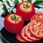 Images/products/Tomato/TomatoG/Goliath-Bush-Tomato-Seeds.jpg