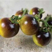 Indigo Gold Berries Tomato Seeds TM783-20_Base