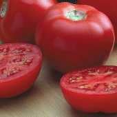 Goliath Italian Tomato Seeds TM287-20_Base