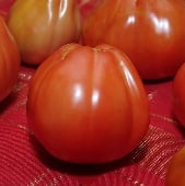 Italian Red Pear Tomato Seeds TM320-20_Base