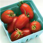 Marzinera Tomato Seeds TM833-10_Base
