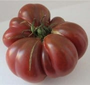 Purple Calabash Tomato Seeds TM331-20_Base
