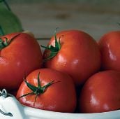 Quarter Century Tomato TM113-10