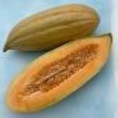 Banana Melon Seeds CA36-20_Base