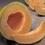 Crenshaw Melon Seeds CA54-20_Base