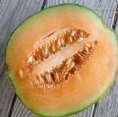 Mainstream Melon Seeds CA42-20_Base