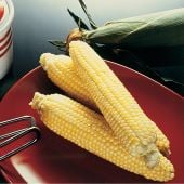 Sugar Buns Corn CN47-50