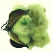 Erlene's Green Cotton CO3-5
