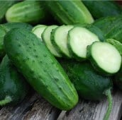 Boston Pickling Improved Cucumber Seeds CU61-20_Base