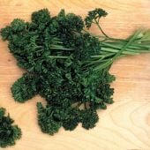 Forest Green Parsley Seeds HB56-500_Base