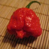 Weird & Unusual Shaped Hot Peppers