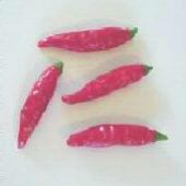 Onza Roja Hot Peppers HP491-20_Base