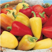 Antohi Romanian Sweet Peppers SP3-20