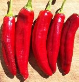 Hungarian Spice Paprika Pepper Seeds SP222-10_Base