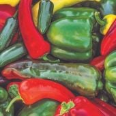 Sweet and Spicy Pepper Mix Seeds SP387-20_Base