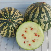 Citron Red Watermelons WM16-20_Base