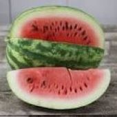 Cobb Gem Watermelons WM88-10