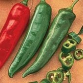 Garden Salsa Hot Peppers HP86-10