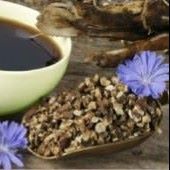 Coffee Additive Chicory Seeds CE2-100_Base