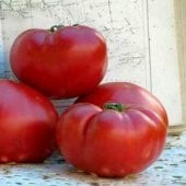 Aker's West Virginia Tomato Seeds TM313-20_Base
