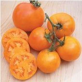 https://www.reimerseeds.com/Images/products/Tomato/TomatoA/Amish-Gold-Slicer-Tomato.jpg