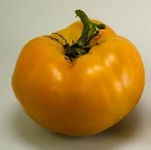 Aunt Gertie's Gold Tomato Seeds TM723-20_Base