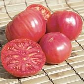 Brandywine Pink Tomato Seeds TM20-20_Base