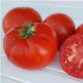 Super Sioux Tomato Seeds TM543-20_Base