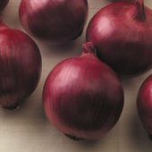 Red Zeppelin Onion Seeds ON49-50_Base