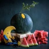 Moon & Stars Watermelons (Amish Heirloom) WM15-20