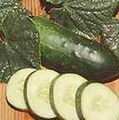 Wautoma Cucumbers CU49-20