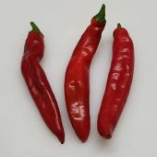 Acoma Peppers HP1828-10