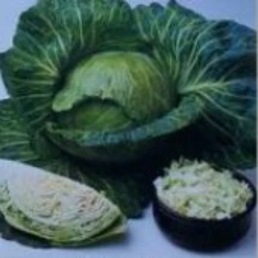 All Season Cabbage CB1-50