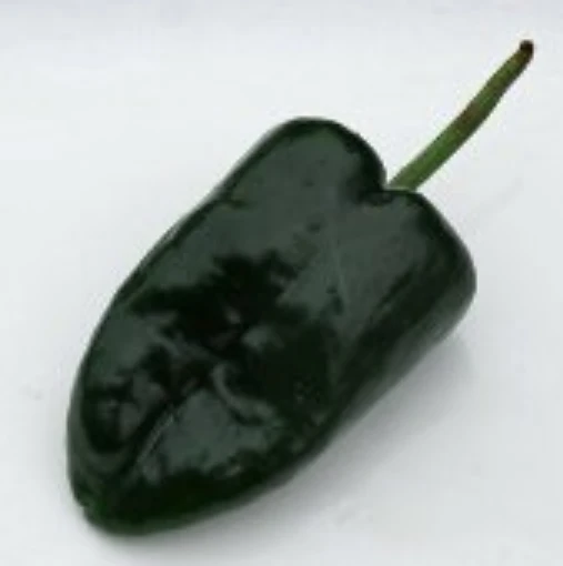 Ancho San Luis Peppers HP13-20