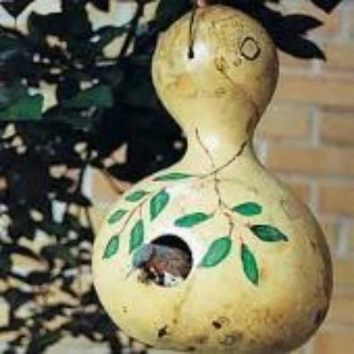 Birdhouse Gourds GD1-10