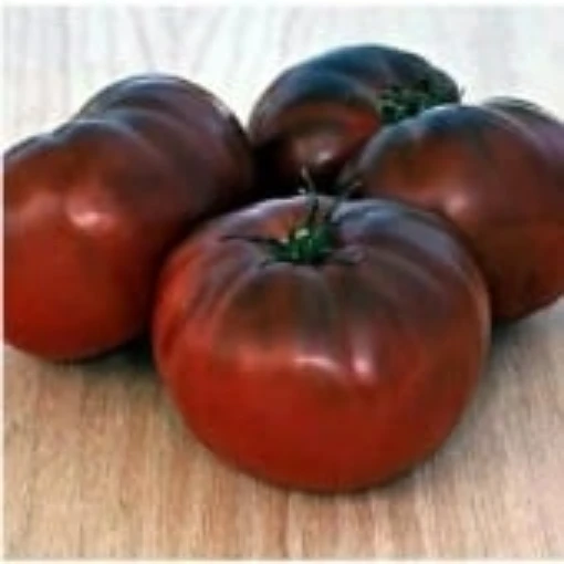 Brandywine Tomato (Black) TM19-20