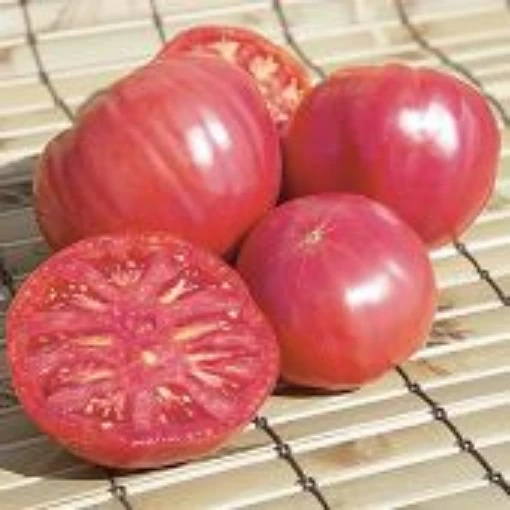 Brandywine Tomato (Pink) TM20-20