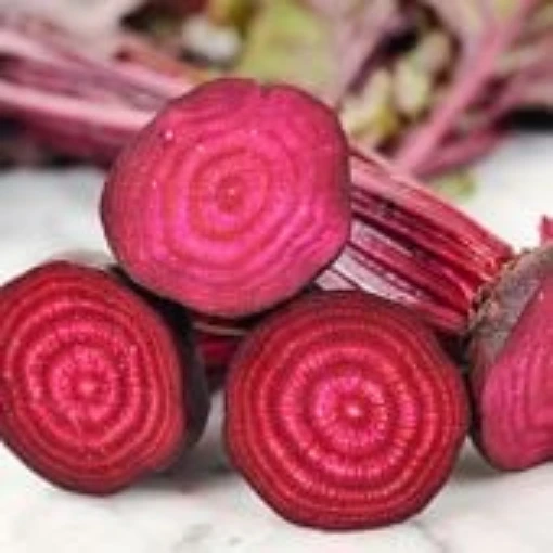 Bull's Blood Beets BT13-50