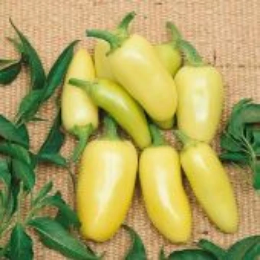 Caloro Peppers HP37-20