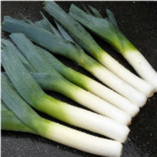 Carantan Leeks LK6-100