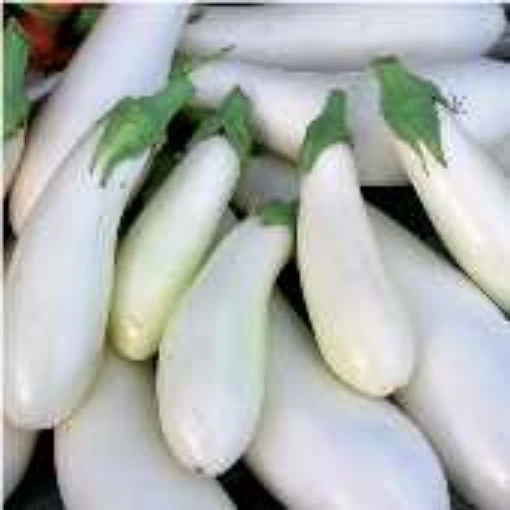 Casper Eggplants EG9-50