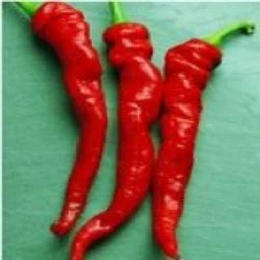 Cayenne Large Thick Peppers HP42-20