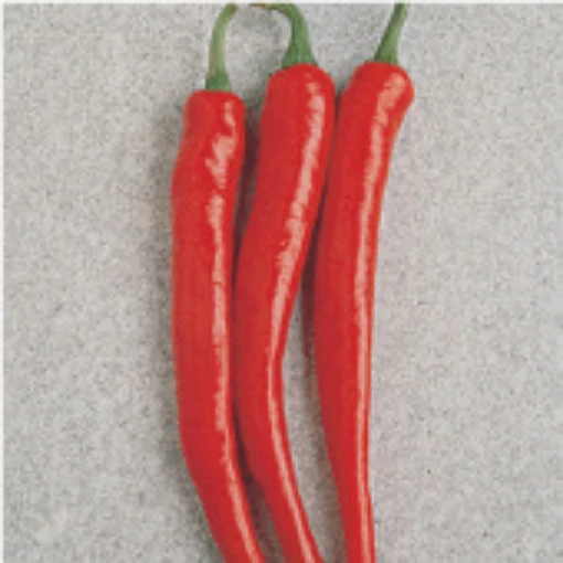 Cayenne Long Red Peppers HP1561-20