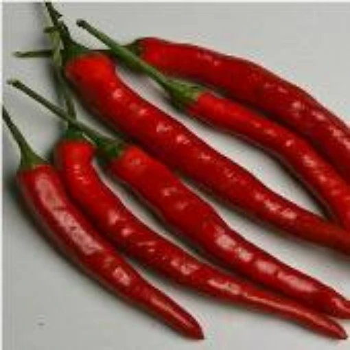 Cayenne Long Thin Peppers HP2000-20