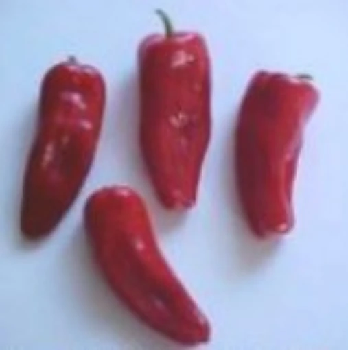 Cayman Hot Peppers (Red) HP1135-10